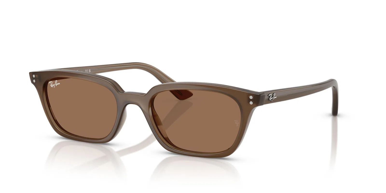 Ray-Ban Zaya 4456 Sunglasses - view 44